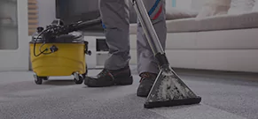 Carpet Cleaning